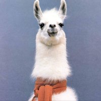 Llama